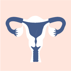 Icon: Trasferimento degli embrioni